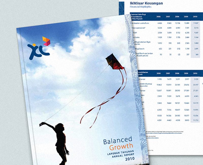 XL Annual Report 2010